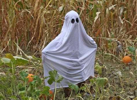 Les Costumes De Fantômes